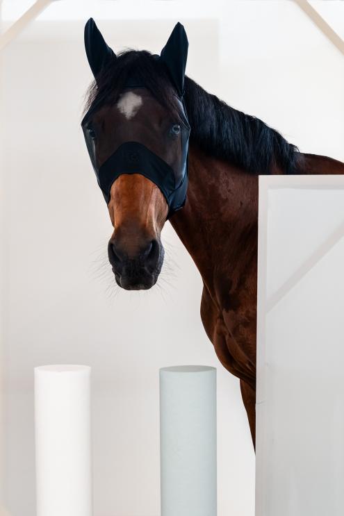 Maska przeciw owadom CT Fly Mask short czarna 