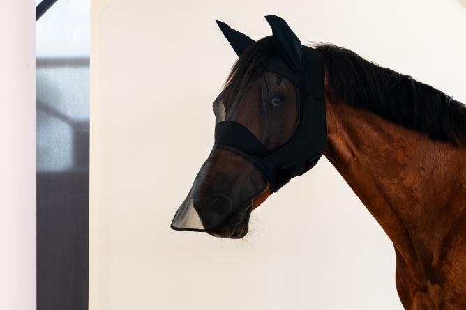 Maska przeciw owadom CT Fly Mask long  czarna 